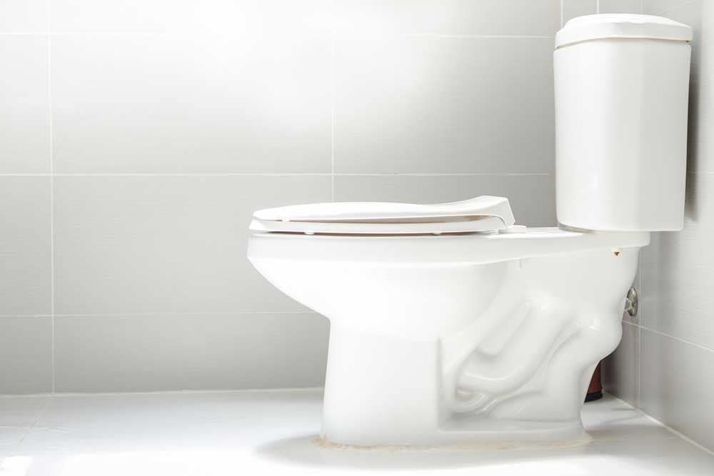 toilet upgrade