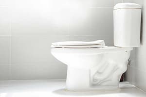 toilet upgrade